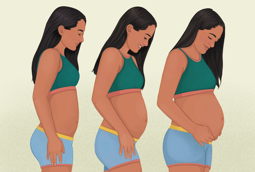 Guide to Week-by-Week Pregnancy Symptoms, Diet, and More